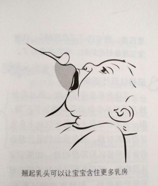 如何改掉宝宝含乳头睡觉