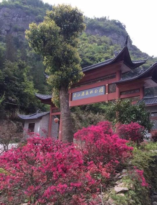 这里的景色需要你静下心来将自己融入在云雾缭绕的大山之间静静地