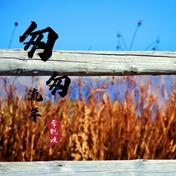 匆匆流年(付梓丞)