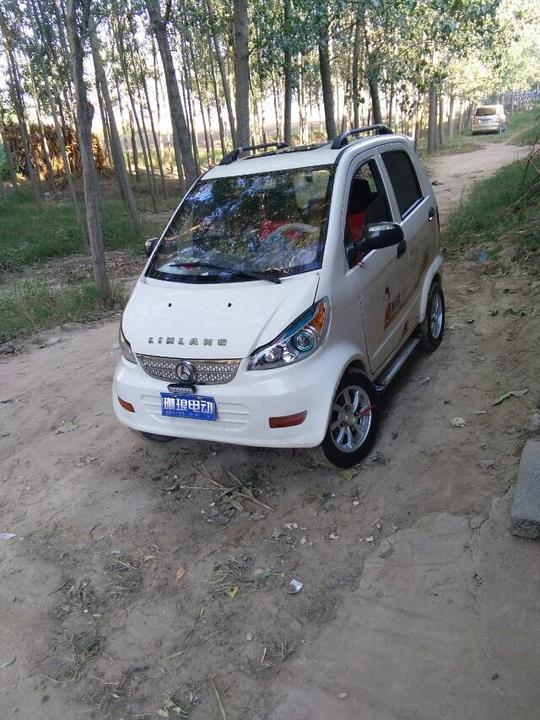 琳琅电轿车,买车了开不着了低价转让