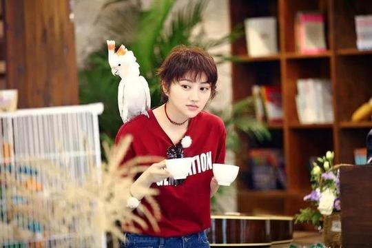明星、素人共同“创业”，东方卫视新“开张”的这家民宿旅馆你不试试?