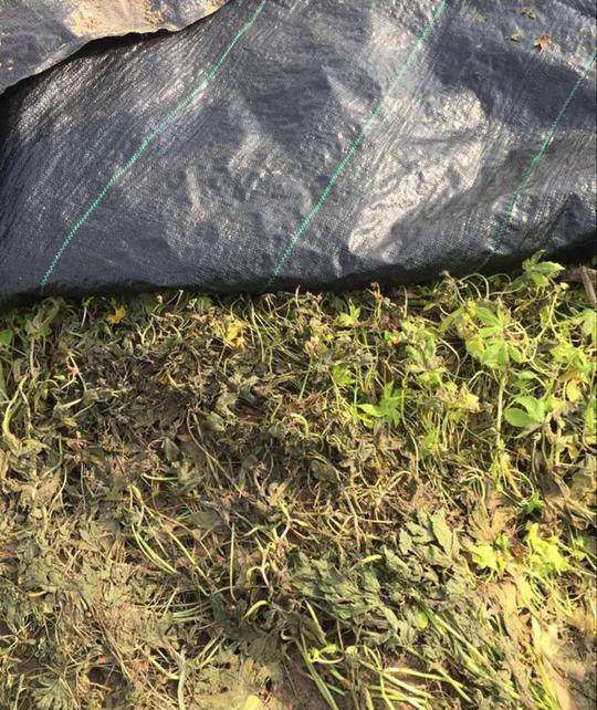 包邮农业&lt;/strong&gt;除草布防草布惠农农资果园园艺蔬菜大棚花卉黑色地布