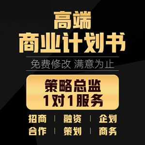 商业计划书撰写代做创业融资项目策划方案可行性研究报告路演ppt