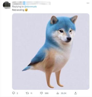 惊爆价格！推特、小蓝鸟、X、 Twitter账号限时抢购，优惠只等你来拿！