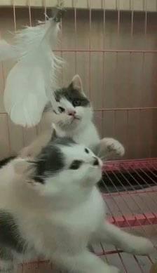 高铁上为什么没有编号E的座位