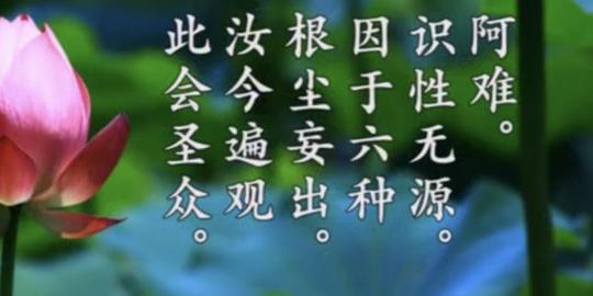 传严法师第八次讲解《楞严经》视频及文稿(第二十集)
