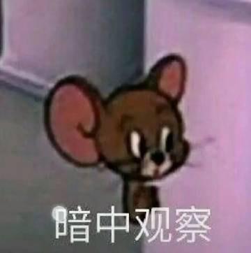 抖音猫和老鼠表情包