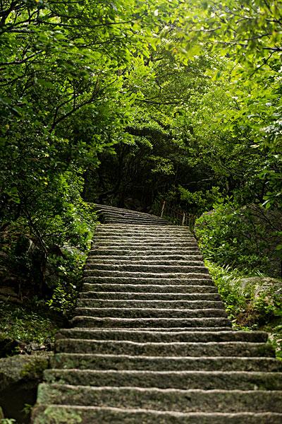 竹林台阶_图片大全—全景创意图库（quanjing.com）中国领先的正版图片视频素材网站