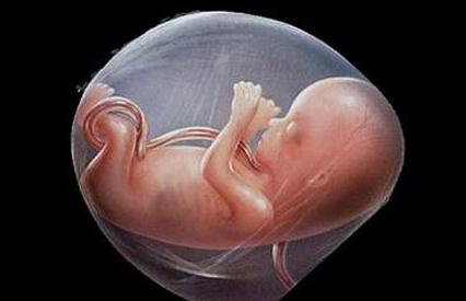 孕期如何避免胎儿脐带绕颈