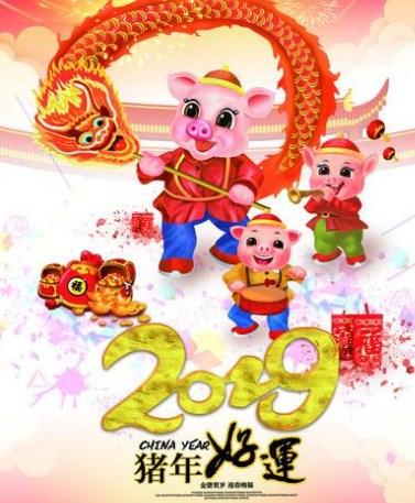 2019除夕出生的宝宝起什么名字好
