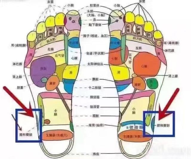 宝宝长高小妙招