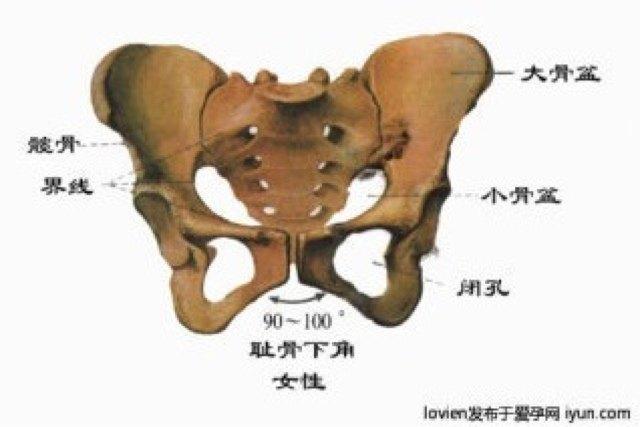 孕妇耻骨痛能顺产吗