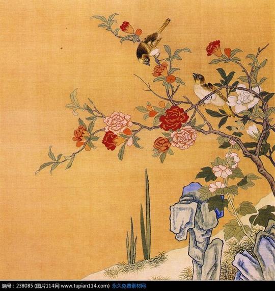 工笔画—假山边花枝上的鸟素材免费下载了，感觉不错，分享给你！