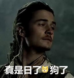 我真是日了狗了搞笑表情包