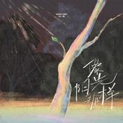 像阳光那样(王一博)