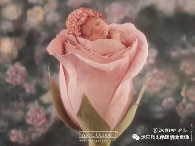 欢迎小生命到来的心情句子