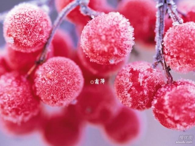 霜降节气早安心语