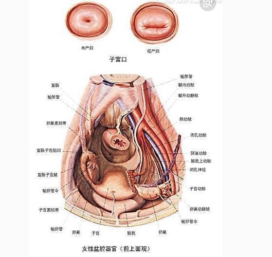 刚怀孕应注意什么问题