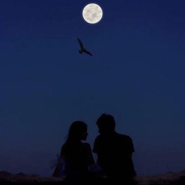 瑟瑟的情侣背景图