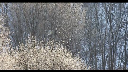 d5202k画质超唯美冬天雪景下雪雪花飘落雪山雪峰北国风光元旦圣诞节晚会舞台大自然景色视频素材