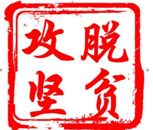仅2016年就通过就业,创业,技能提升等项目帮扶解决贫困对象达50多人.