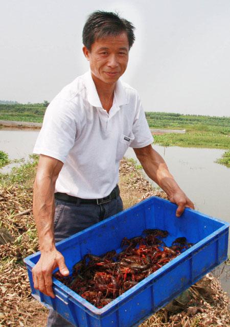 鼓励和吸引农民工回乡创业