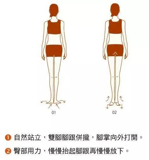 图解|你要的产后骨盆修复操,都在这里了!|骨盆