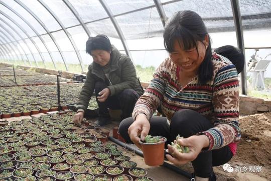 河南日报开设"返乡创业"专栏:首篇关注封丘90后刘同金丨新乡观察