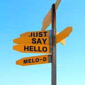 Just Say Hello(melo-D)