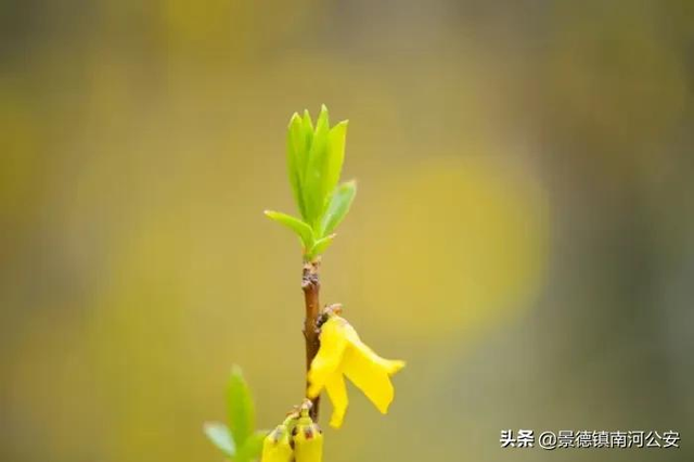 诗句遍插茱萸少一人的人指的是谁