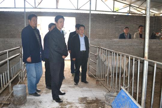 在安乐镇残疾人创业基地调研