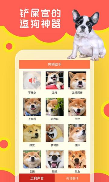 养狗狗的软件的长尾关键词是什么