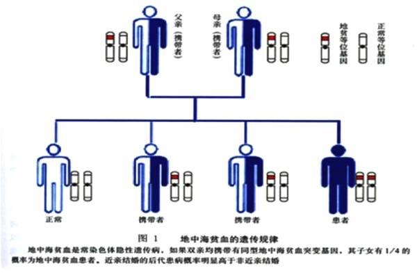 孕期贫血危害大吗