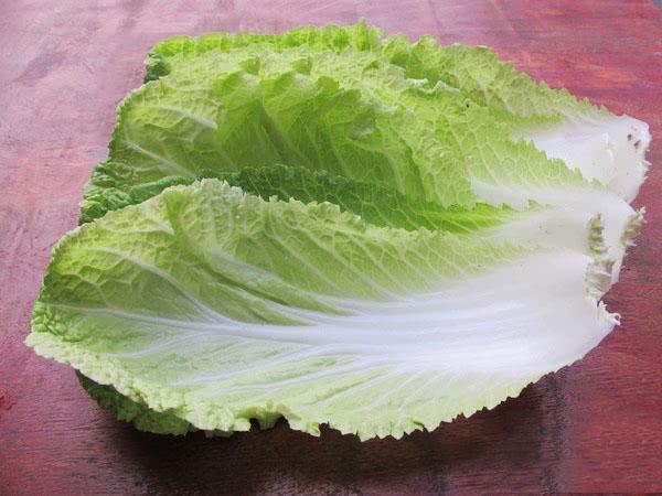 白菜带黑点是怎么回事呢