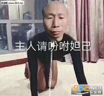 去你妈逼看我不neng死你