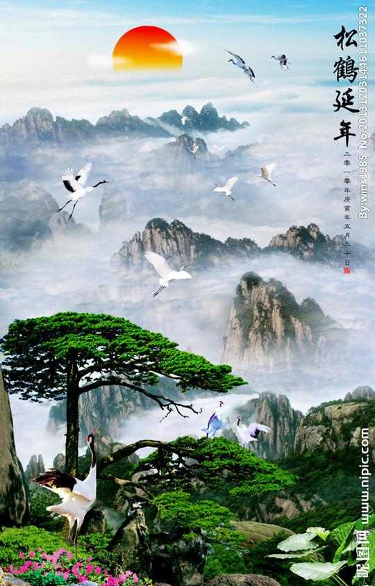 黄山迎客松图片