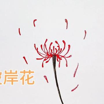 彼岸花简笔画 头条搜索