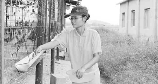 聪女大学生找不到工作下乡养鸽创业致富