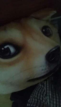 快递不行，没得电话都不打一个，直接给我放在门口，我也是服了
