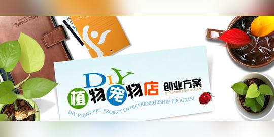 diy植物宠物创业方案