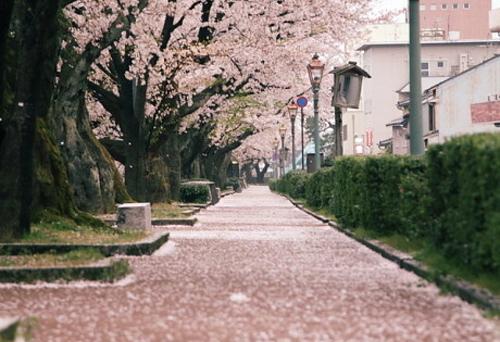 第一次见男朋友父母的心情说说