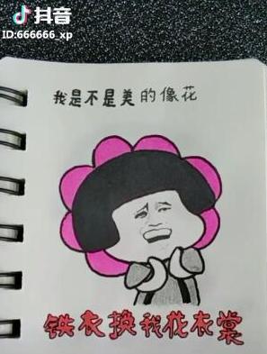 抖音铁衣换我花衣裳表情包大全