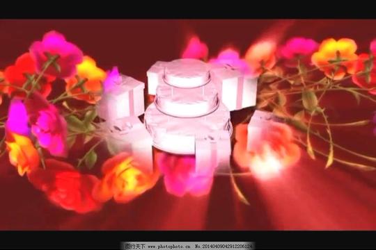情人节视频素材