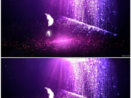 动态视频素材动态|特效|背景视频素材>2只蝴蝶梁祝梦幻紫色瀑布