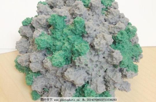 番茄丛矮病毒(tbsv)衣壳双建筑结构模型蛋白质