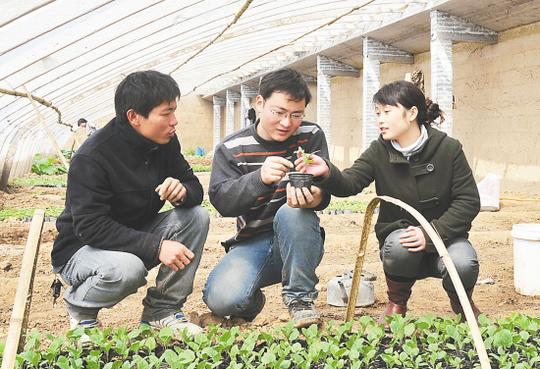 河南武涉410名大学生村官自主创业