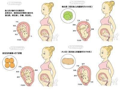 宝宝十个月发育标准测试