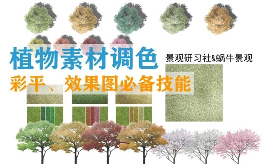 景观彩平、效果图植物素材调色-不换素材也有春夏秋冬