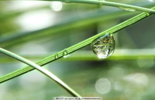唯美水滴特写矢量素材水滴素材雨滴雨滴素材打印尺寸水珠
