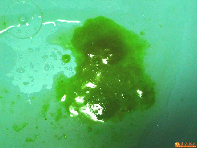 宝宝腹泻期间吃什么食物好